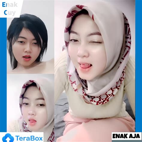 colmek indo